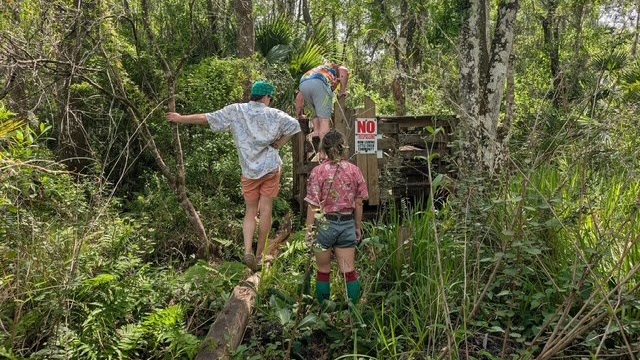 Recent trail photo 3