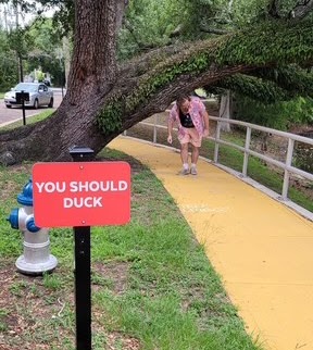 Recent trail photo 12